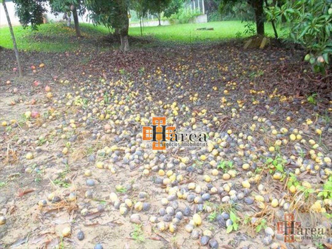 Chácara à venda com 2 quartos, 1M2 - Foto 6