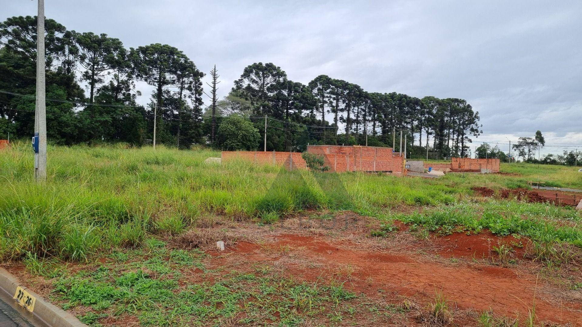 Terreno, 200 m² - Foto 1