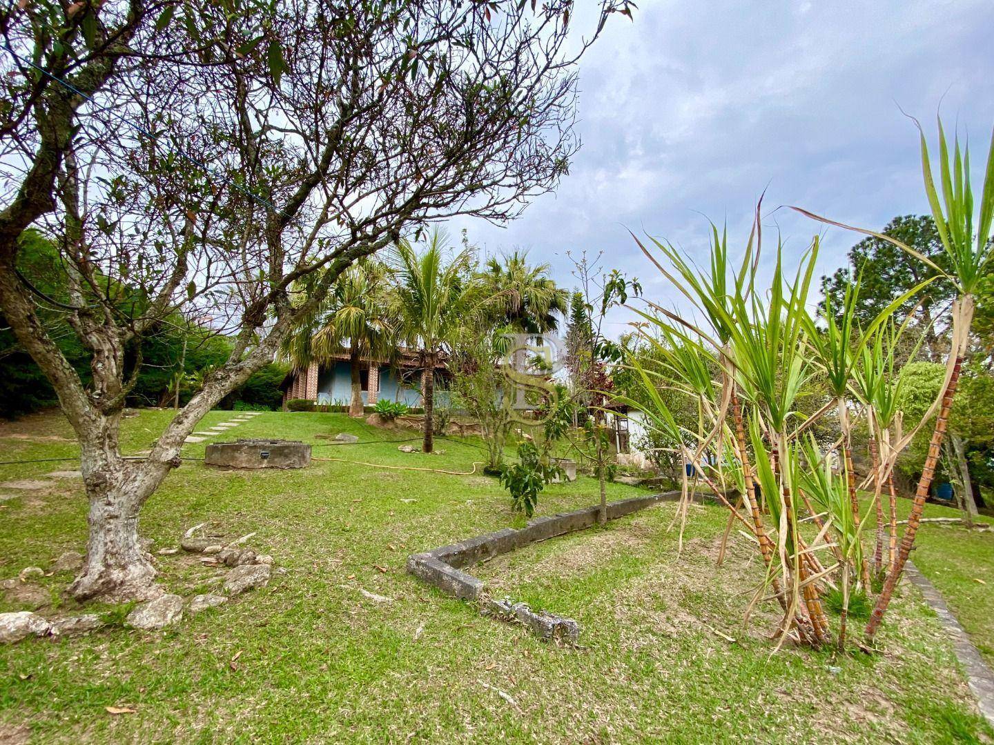 Chácara, 3 quartos, 6050 m² - Foto 28