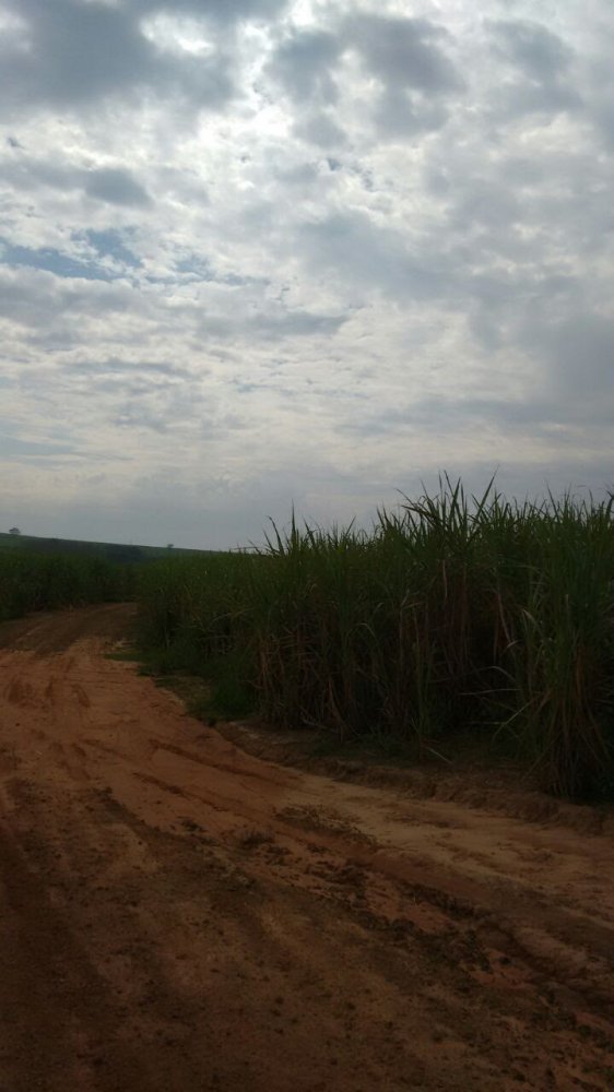 Fazenda à venda, 1275m² - Foto 9