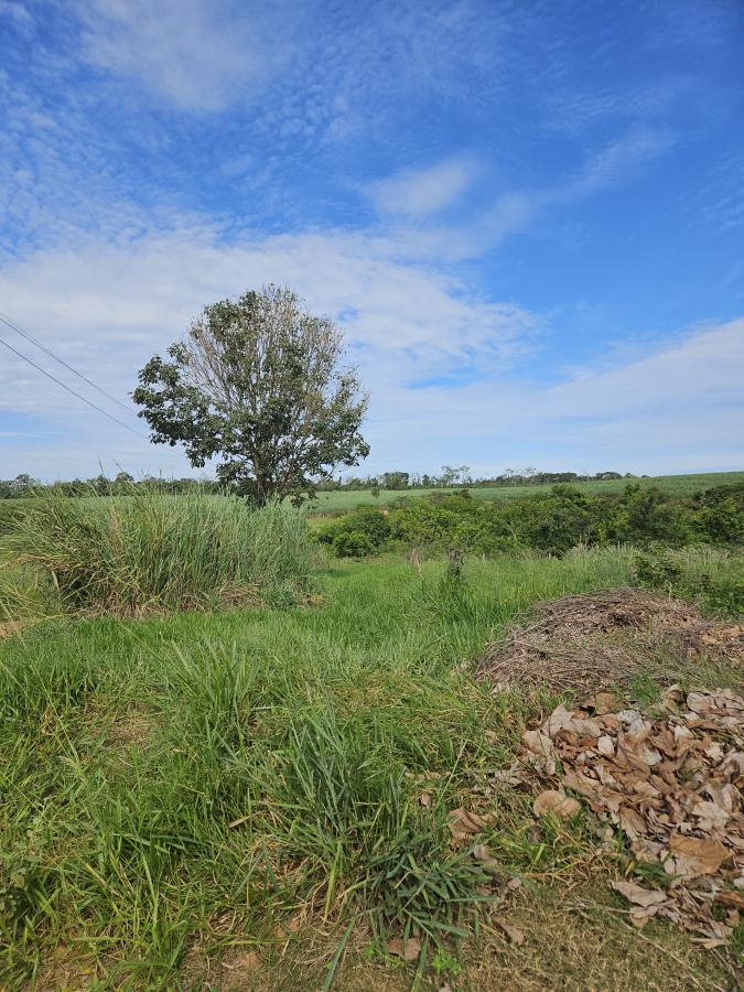 Terreno à venda, 330m² - Foto 1