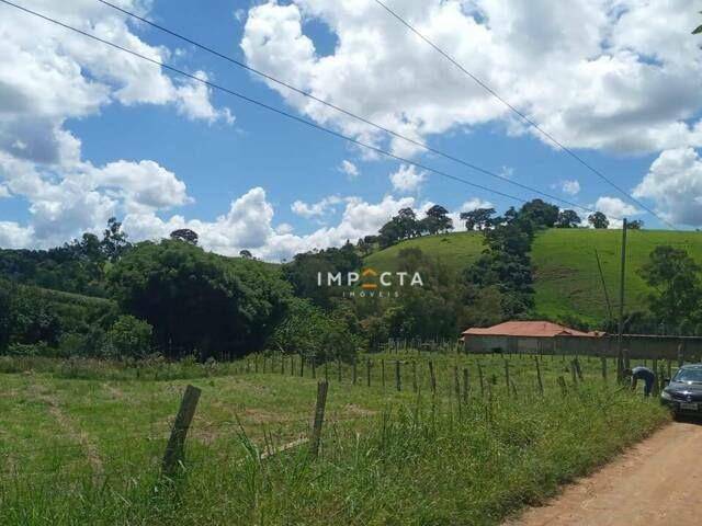 Chácara à venda com 2 quartos, 2000M2 - Foto 11