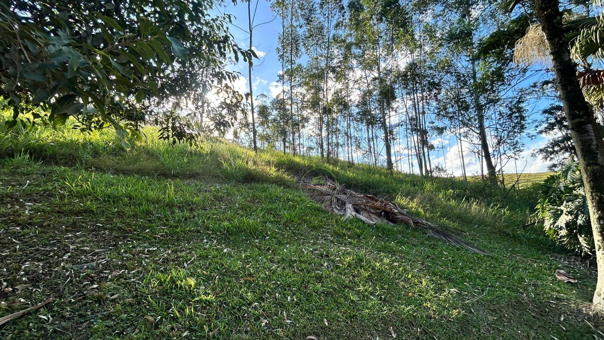 Sítio, 3 hectares - Foto 8