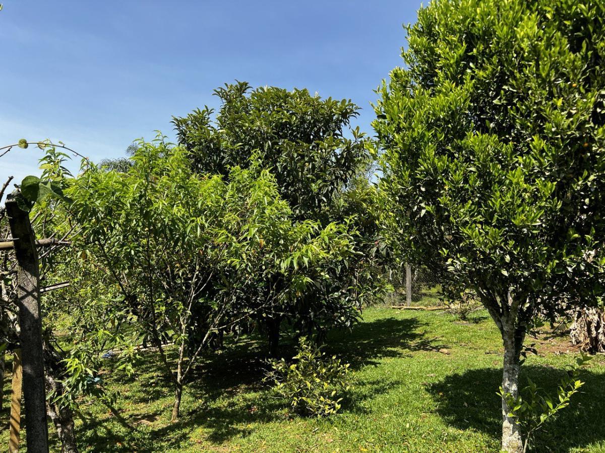 Fazenda à venda, 6300m² - Foto 55