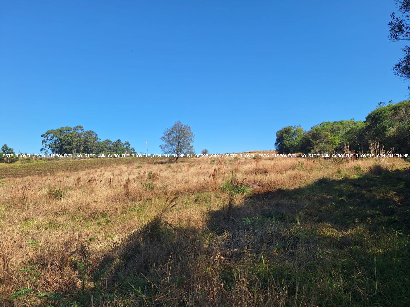 Loteamento e Condomínio à venda, 50000m² - Foto 7