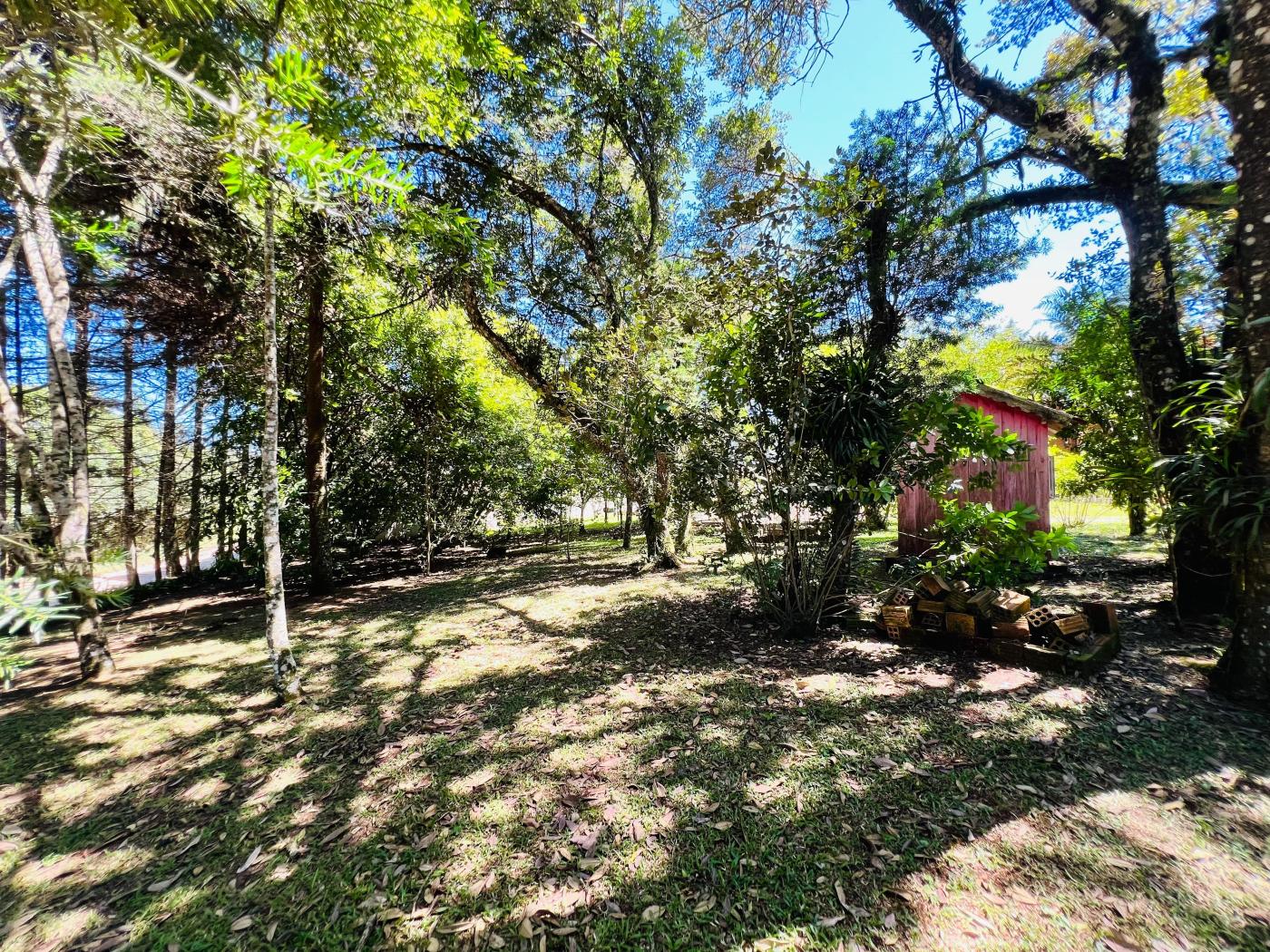 Fazenda à venda, 6000m² - Foto 30