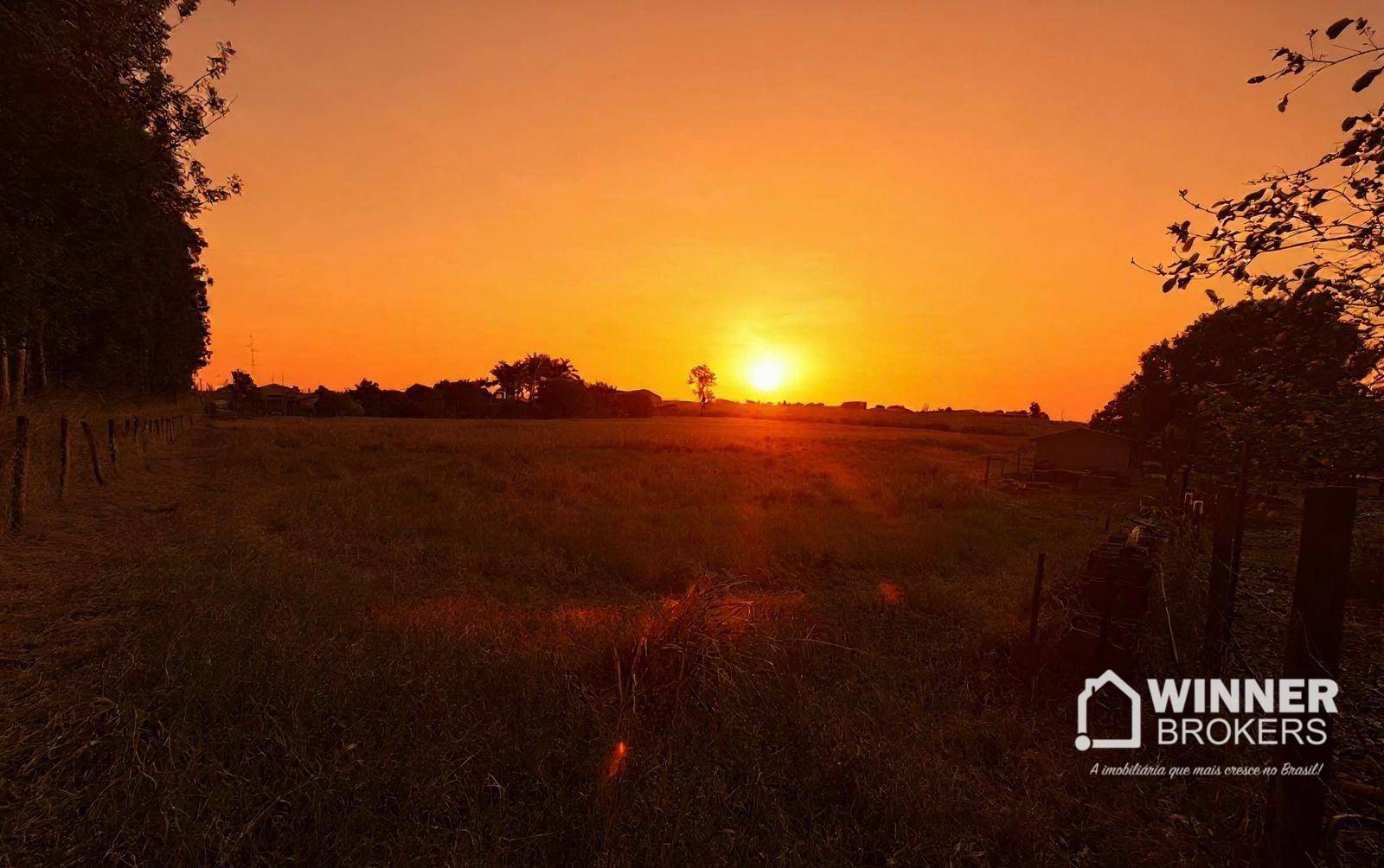 Chácara, 4 hectares - Foto 2