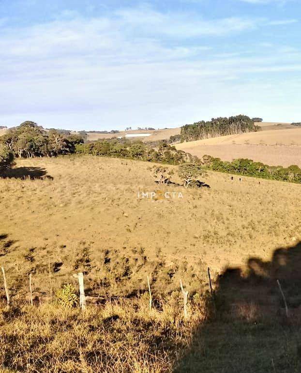 Fazenda à venda, 677600M2 - Foto 8