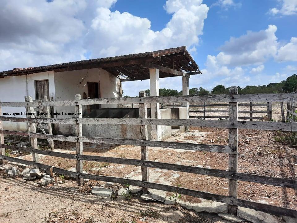 Fazenda-Sítio-Chácara, 14 m² - Foto 1