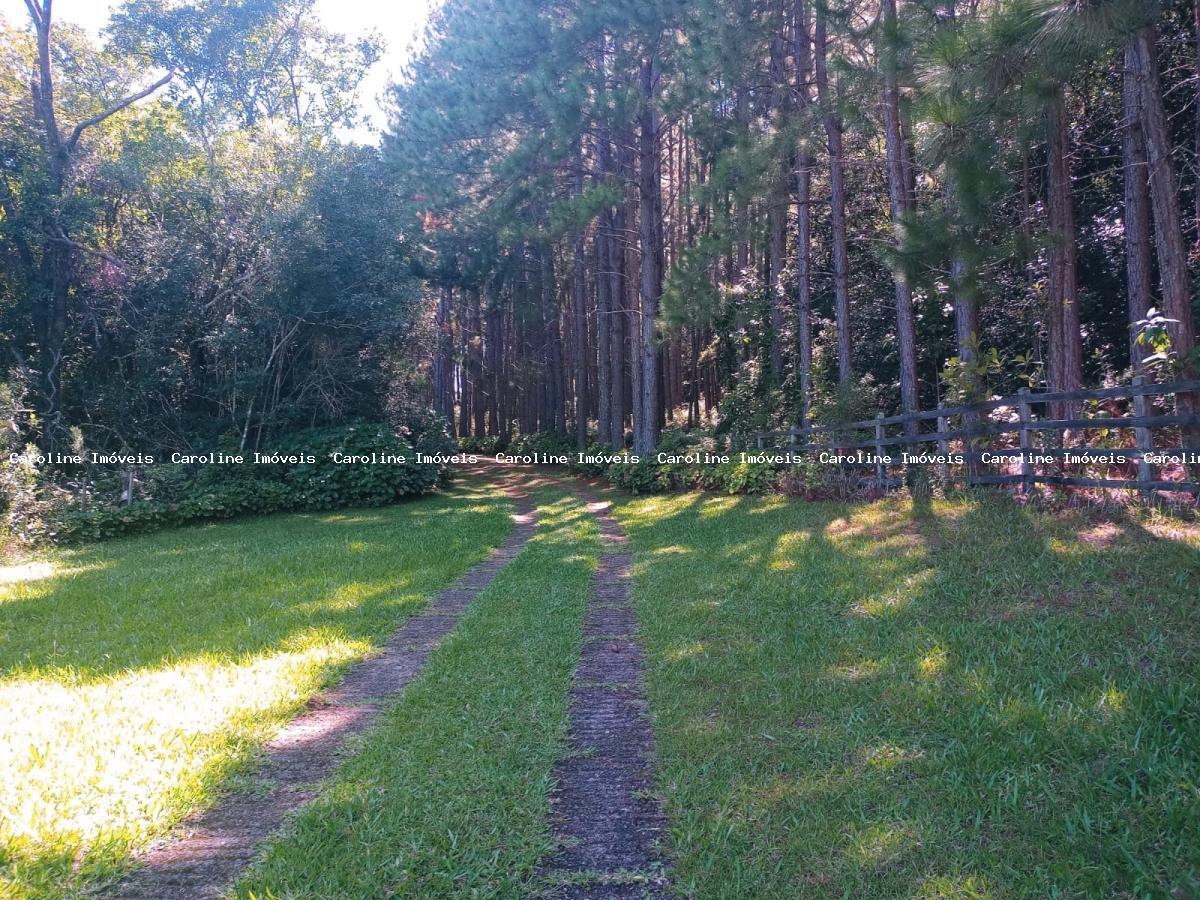 Fazenda à venda com 7 quartos, 800000m² - Foto 6