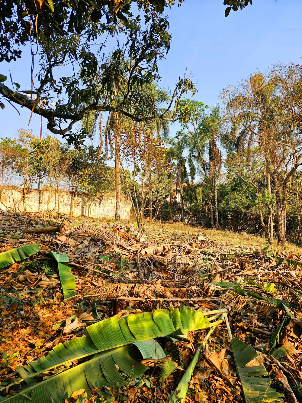 Terreno à venda, 1000m² - Foto 10