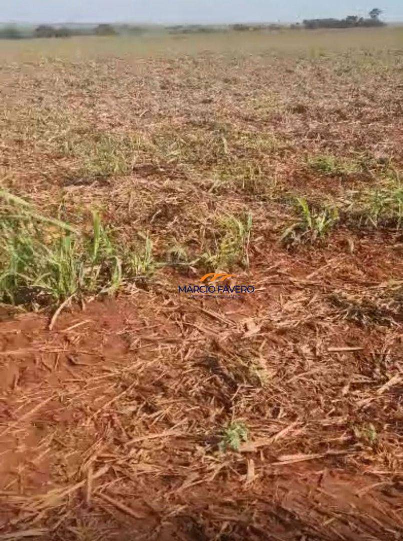 Fazenda, 242 hectares - Foto 3