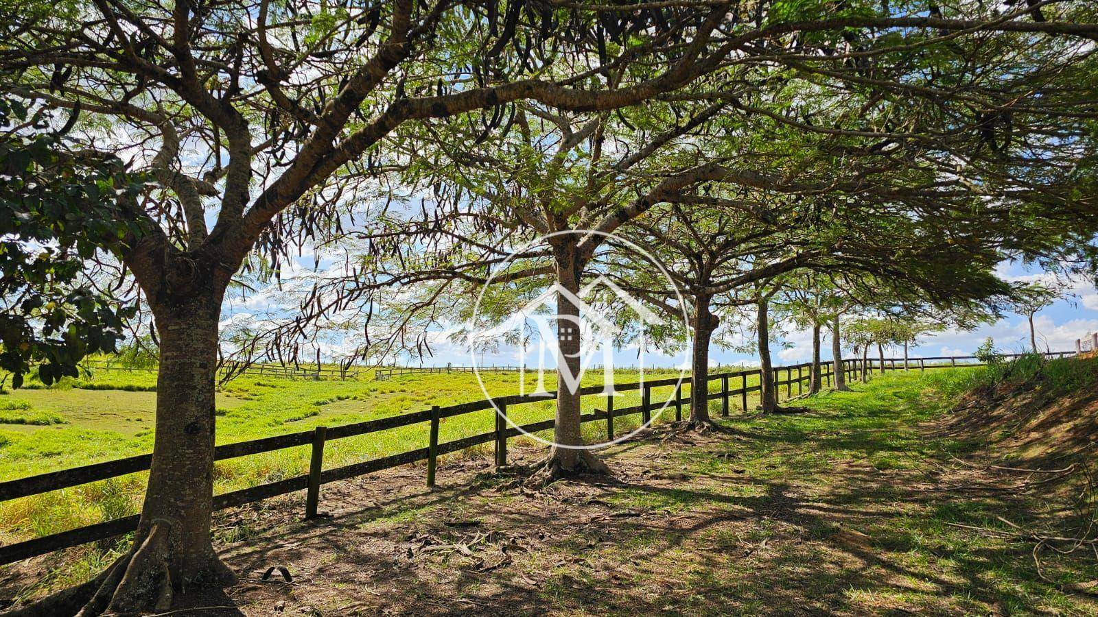 Haras e Área Rural Padrão à venda com 3 quartos, 242000M2 - Foto 13