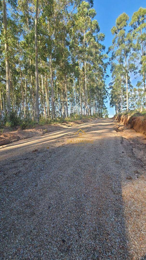 Terreno, 19 hectares - Foto 5