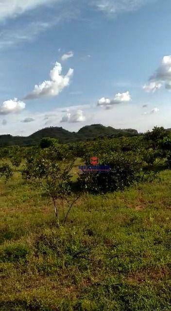 Fazenda à venda com 1 quarto, 17800000M2 - Foto 7