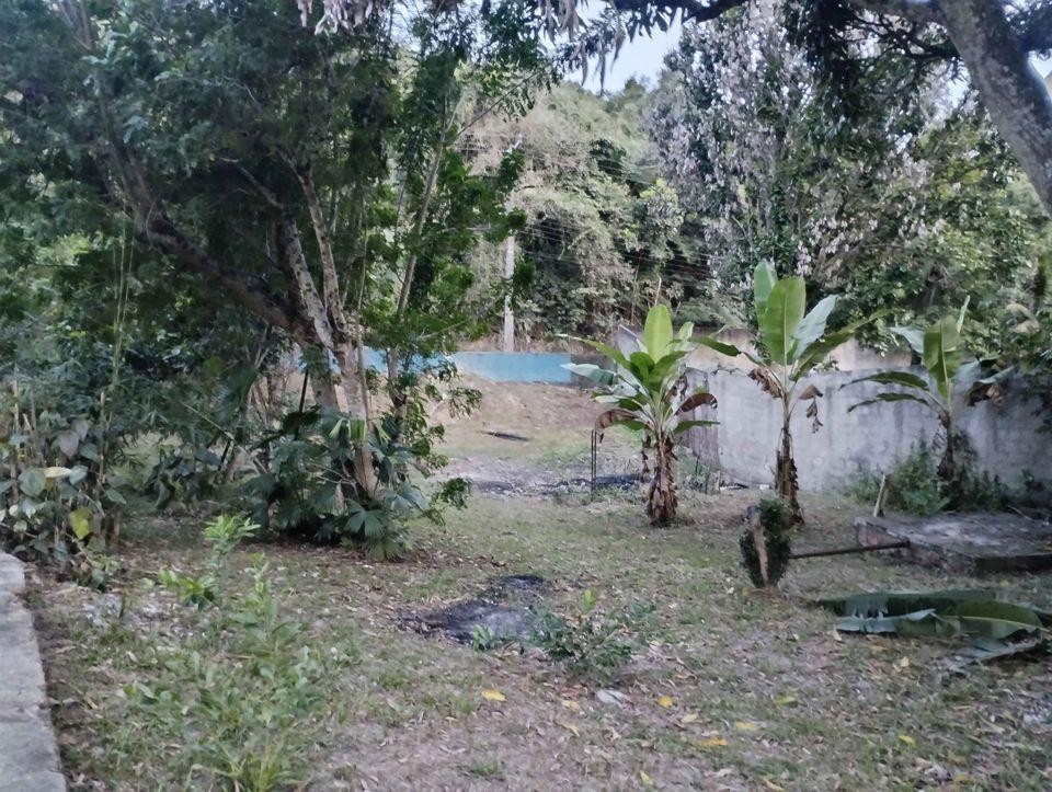 Sítio à venda com 2 quartos, 10000m² - Foto 10