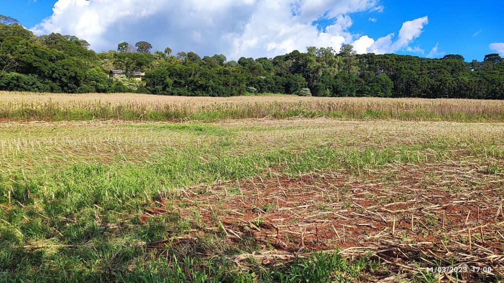 Fazenda à venda com 3 quartos, 6m² - Foto 1