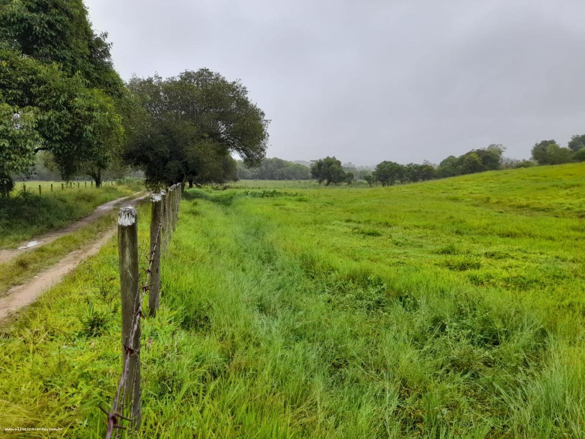 Fazenda à venda com 2 quartos, 61000m² - Foto 13