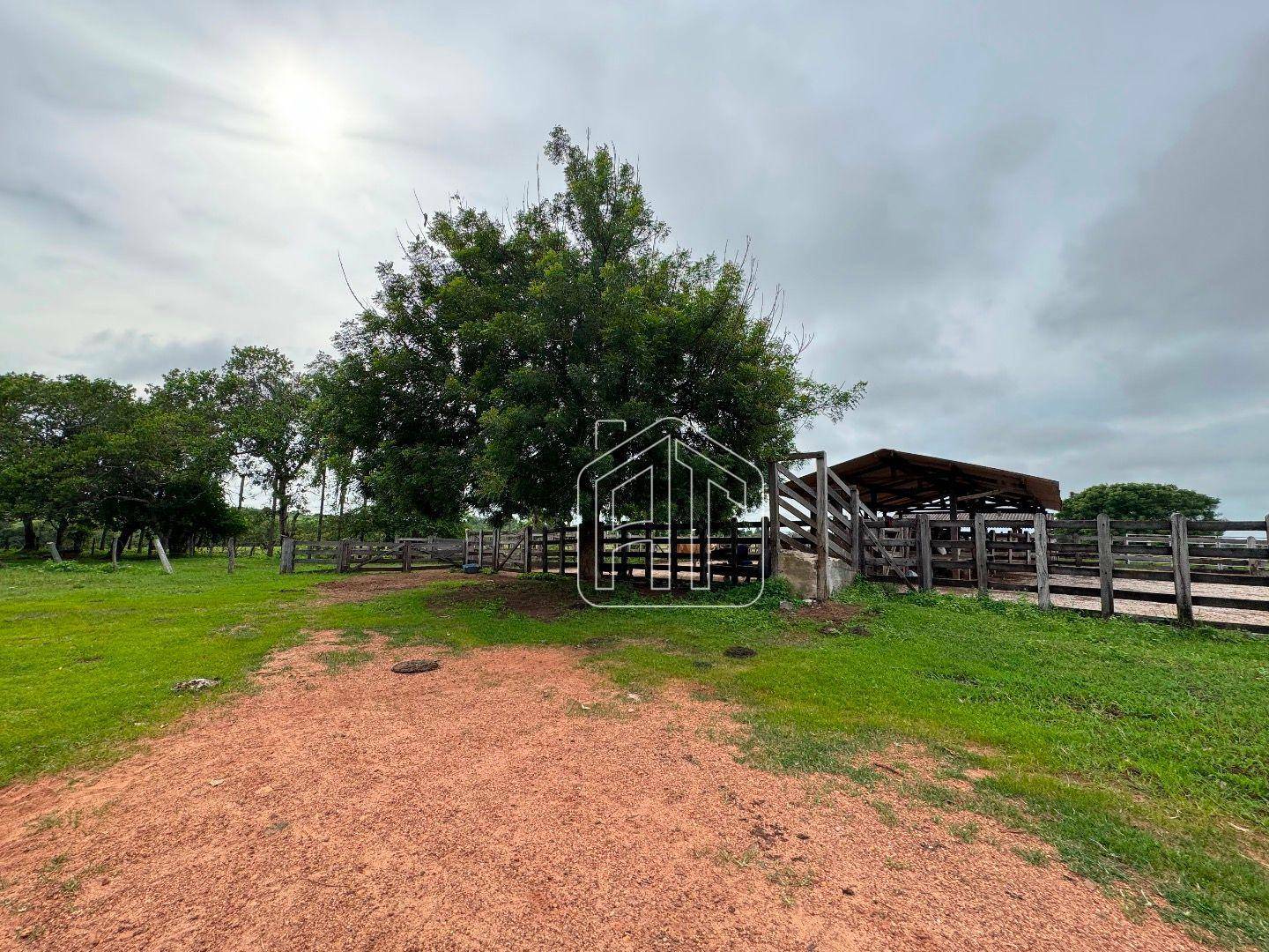 Fazenda à venda com 3 quartos, 26600000M2 - Foto 20