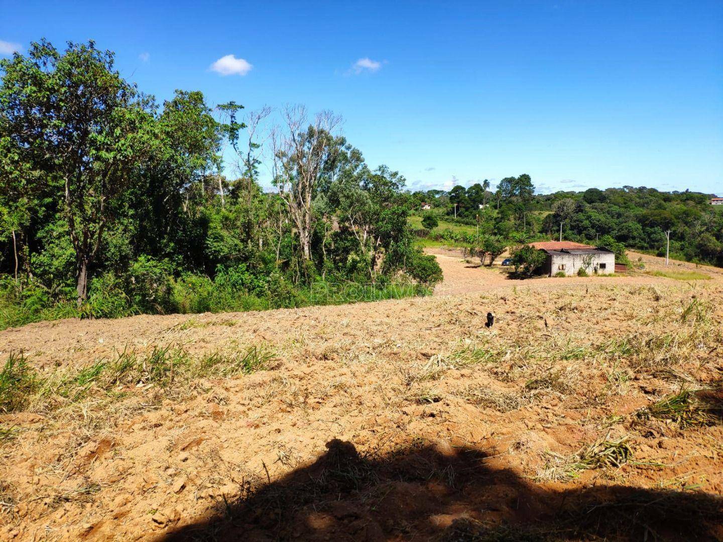 Sítio à venda com 4 quartos, 200m² - Foto 30