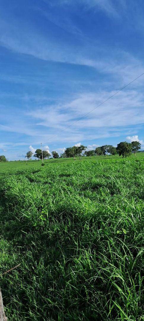 Fazenda à venda, 9970000M2 - Foto 6