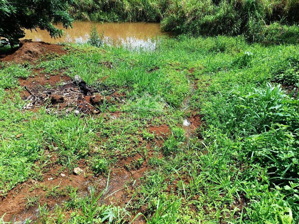 Fazenda à venda com 2 quartos, 3700m² - Foto 3