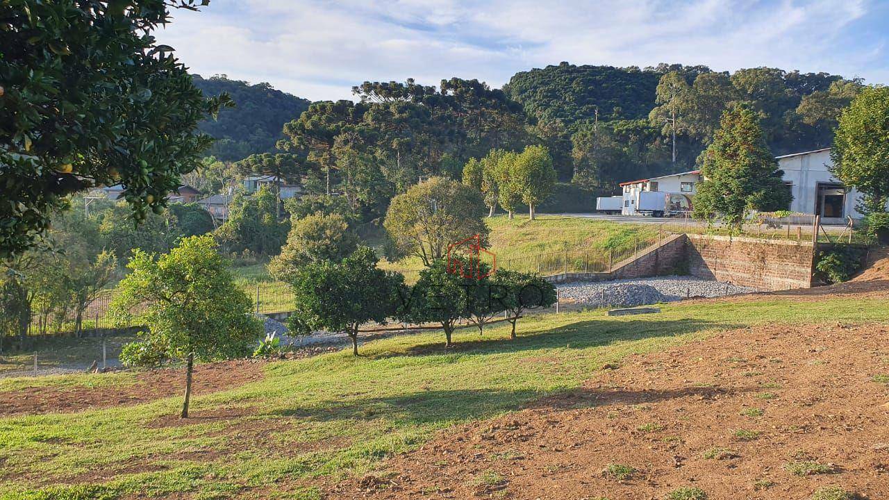 Terreno à venda, 6353M2 - Foto 7