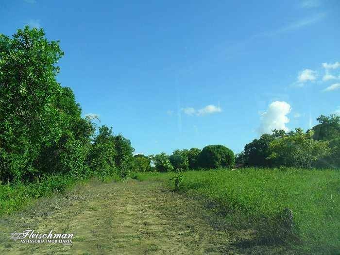 Loteamento e Condomínio à venda, 110000M2 - Foto 13