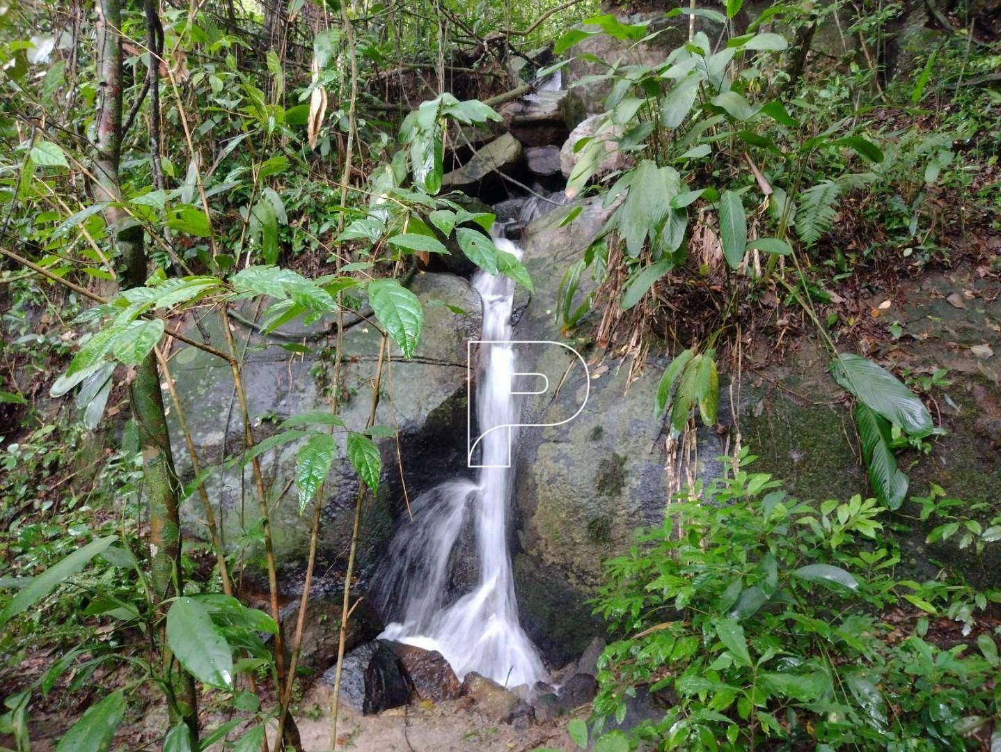 Chácara, 3 quartos, 1700 m² - Foto 4