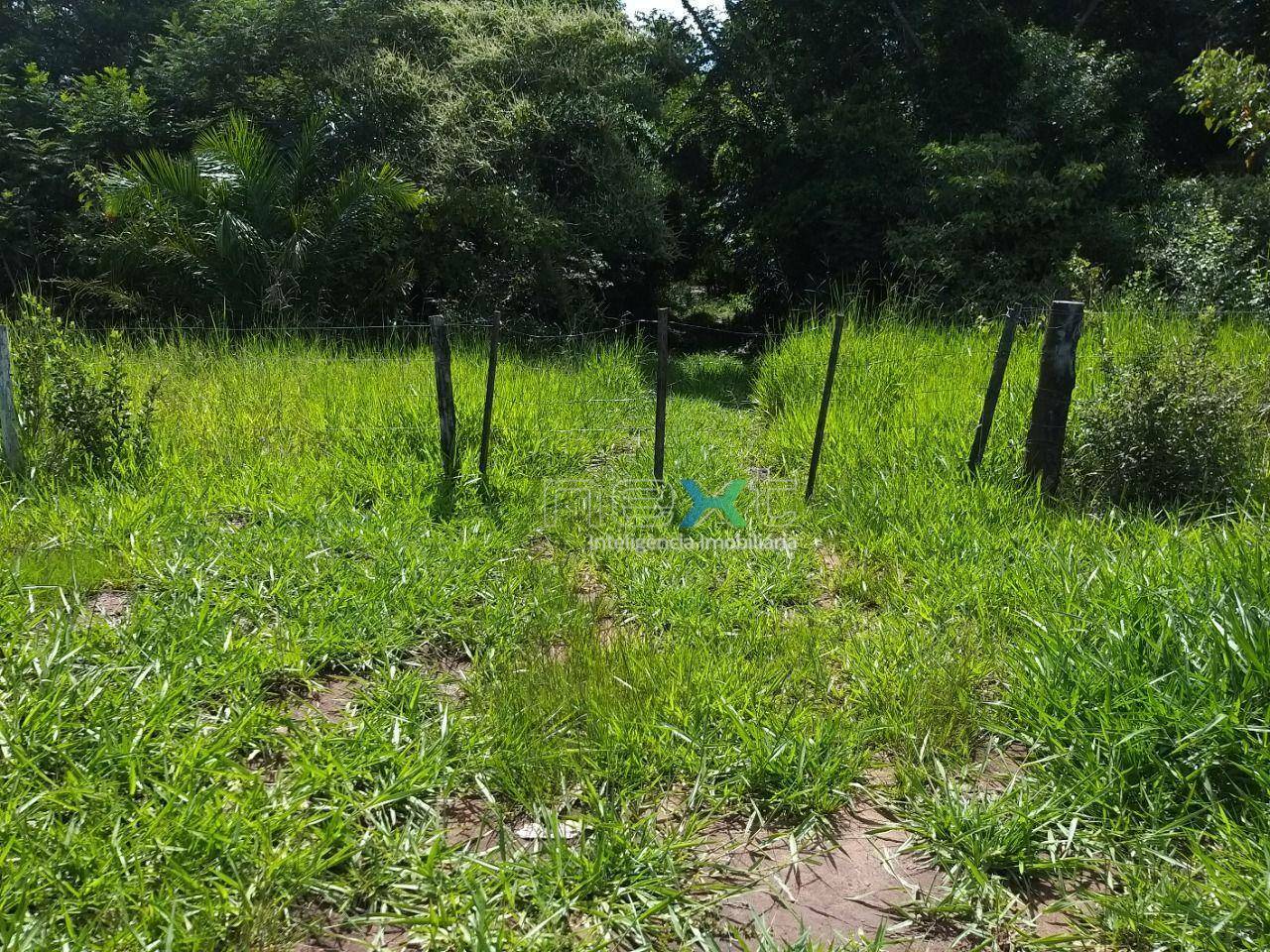 Fazenda à venda com 4 quartos, 430000M2 - Foto 28