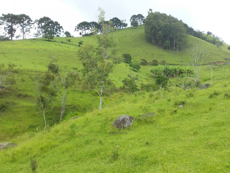 Terreno à venda, 24000m² - Foto 6