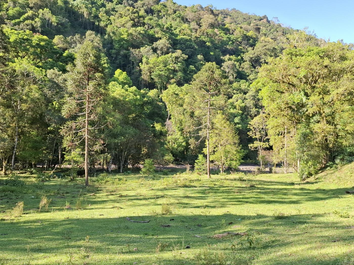 Fazenda à venda com 3 quartos, 90000m² - Foto 39