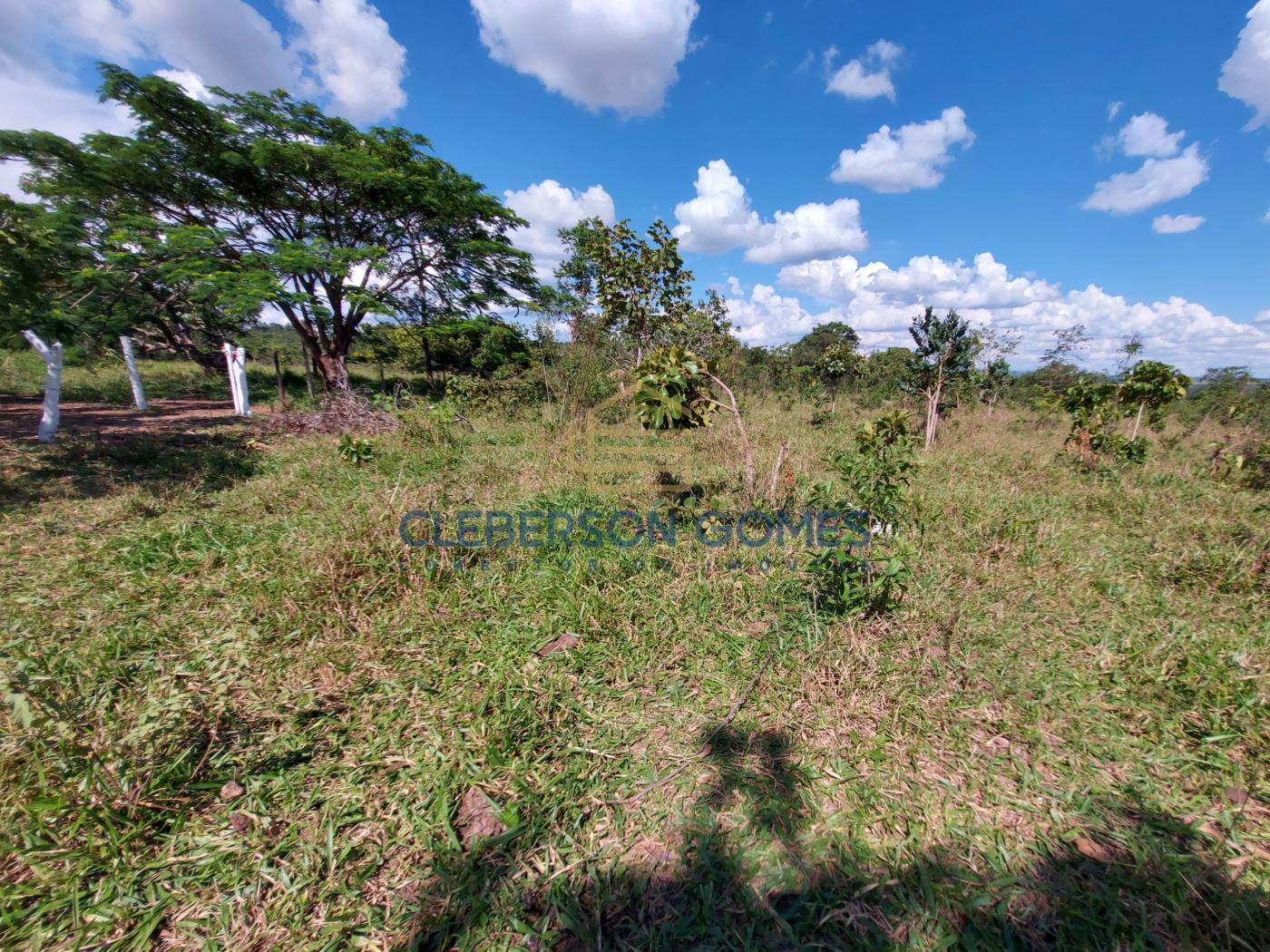 Chácara, 5 hectares - Foto 4