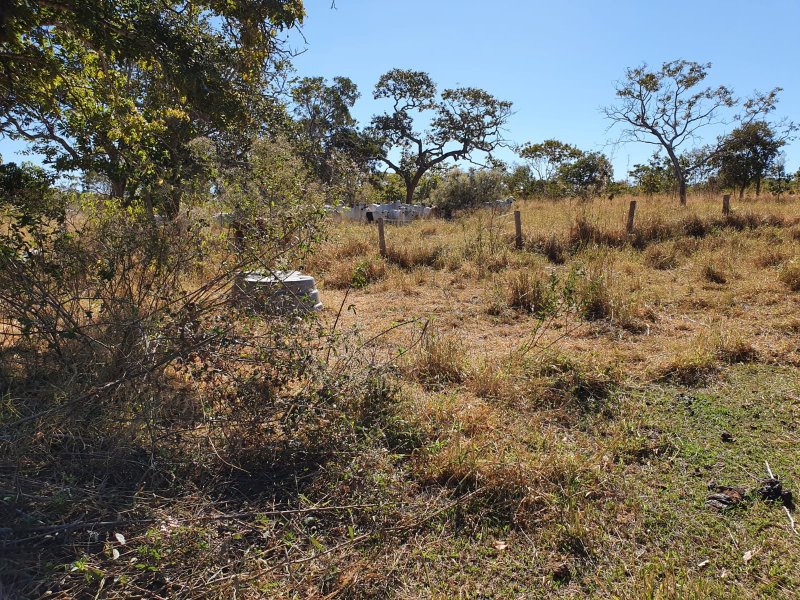 Fazenda à venda, 1613m² - Foto 13