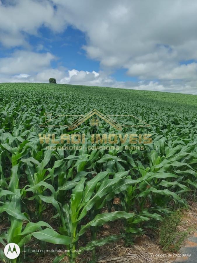 Fazenda à venda, 1200m² - Foto 10