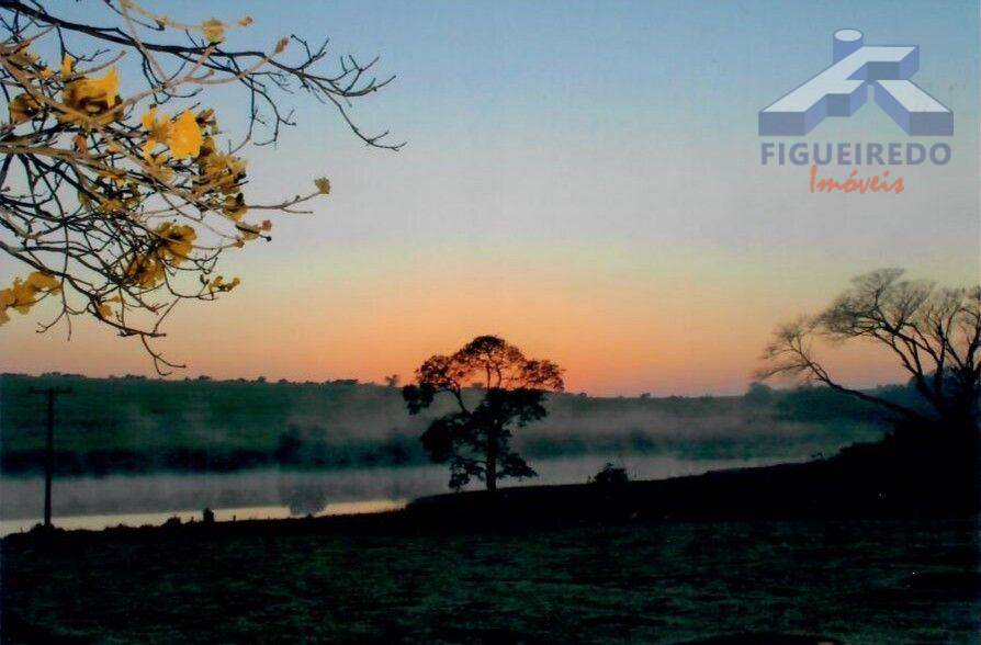 Sítio, 4 hectares - Foto 28