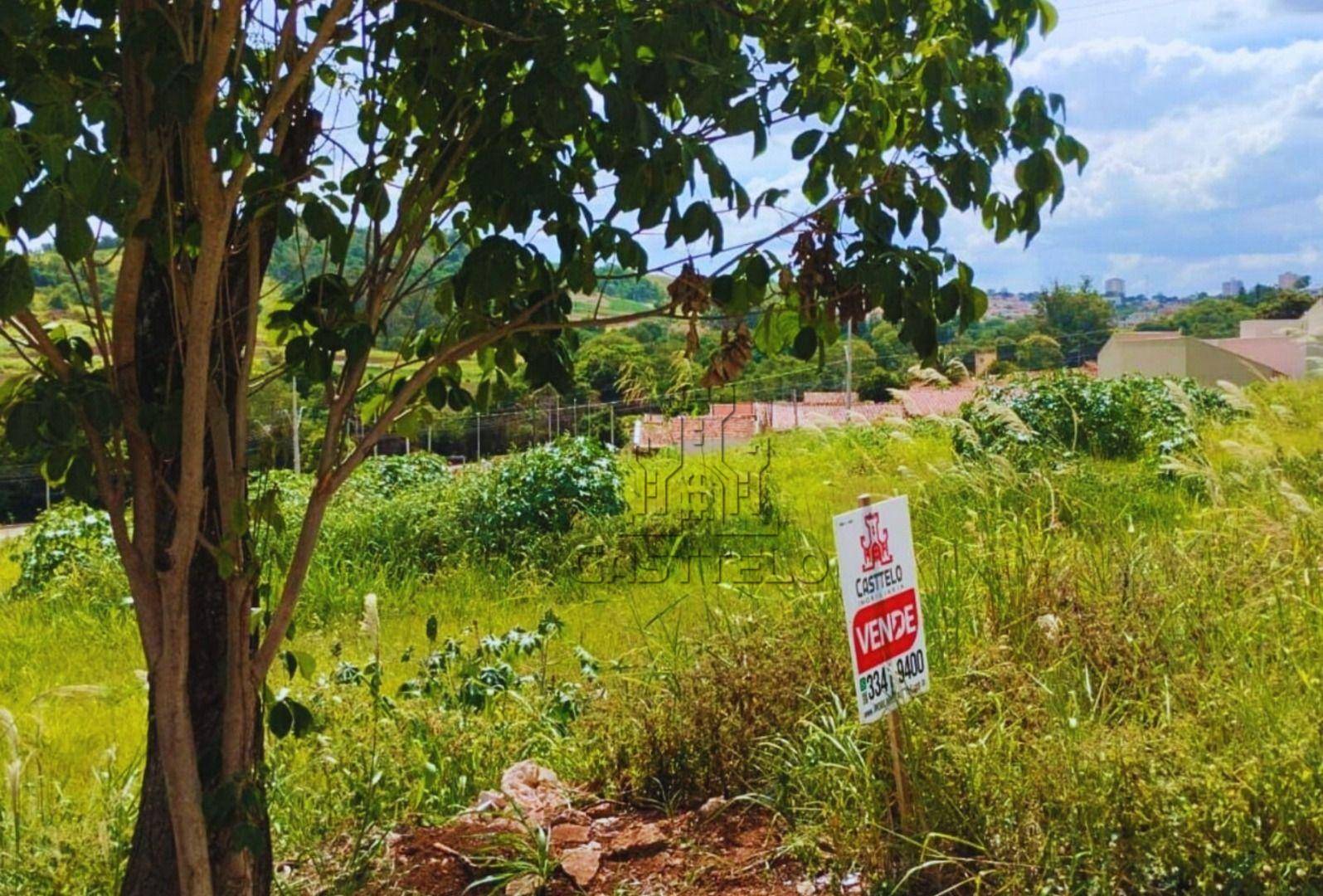 Terreno, 250 m² - Foto 1