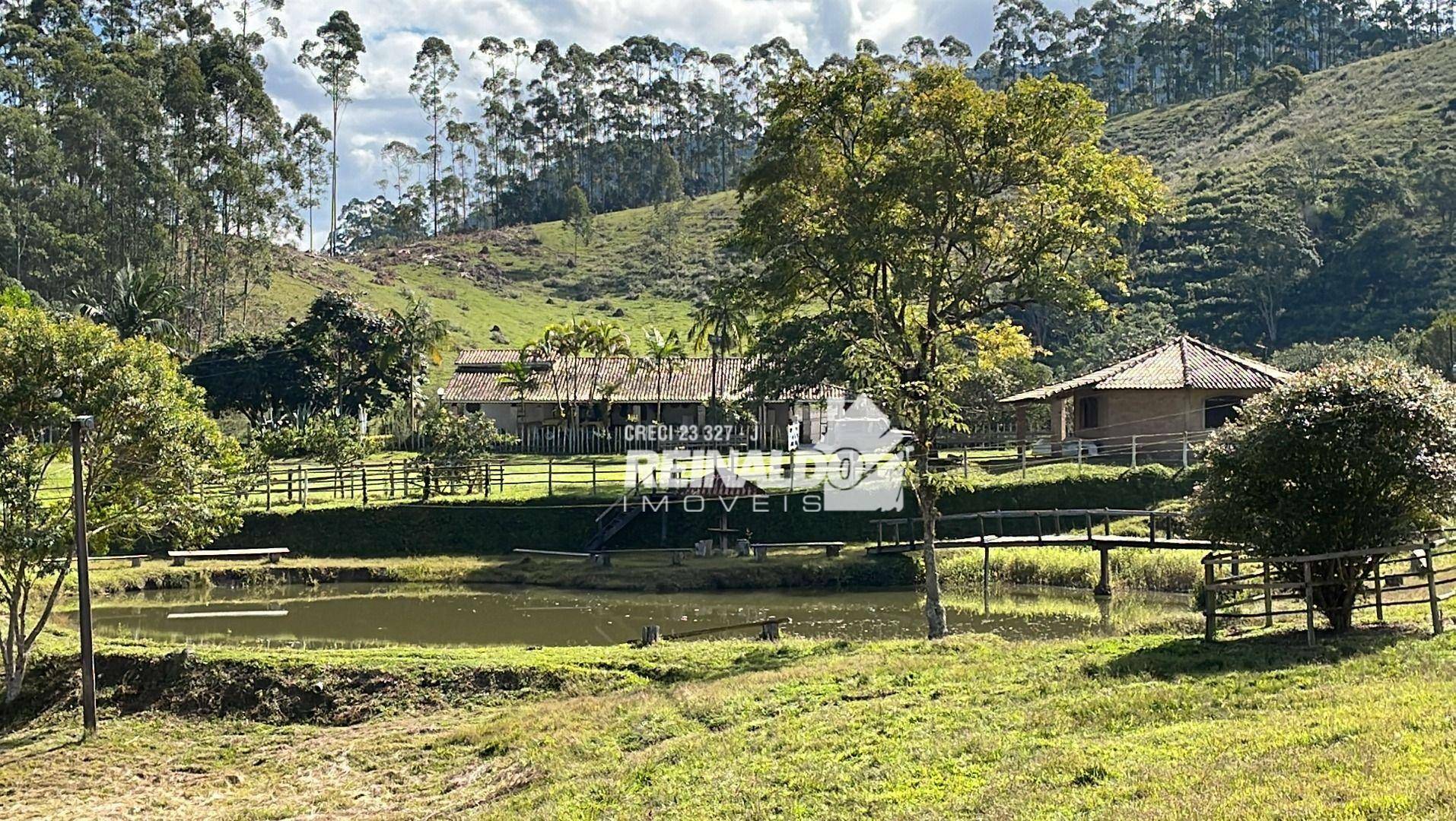 Fazenda à venda com 8 quartos, 900m² - Foto 97