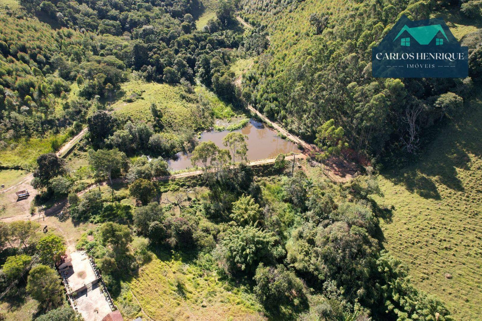 Fazenda à venda com 8 quartos, 700m² - Foto 9