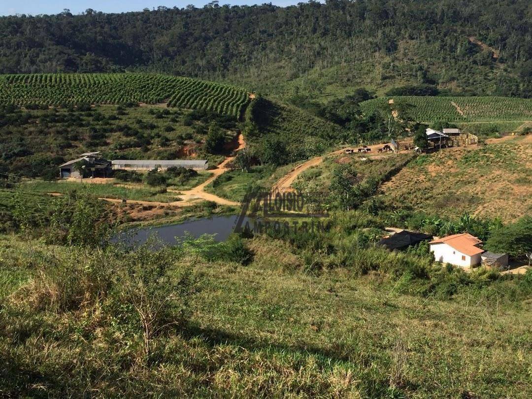 Fazenda à venda, 2420000M2 - Foto 2