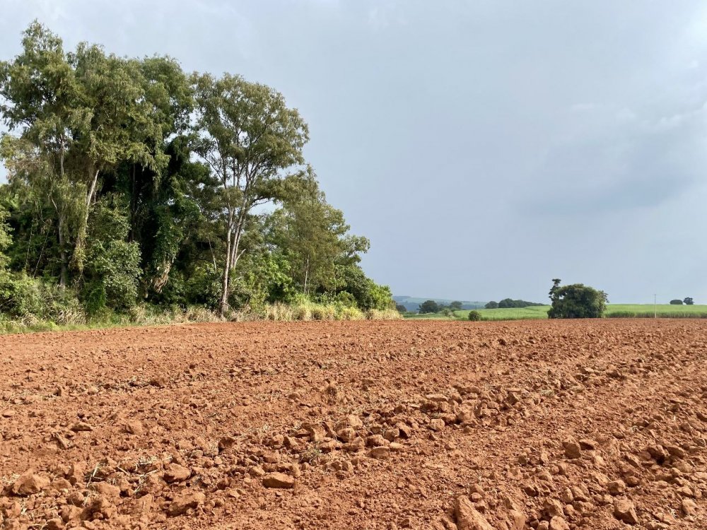 Fazenda-Sítio-Chácara, 34 m² - Foto 4