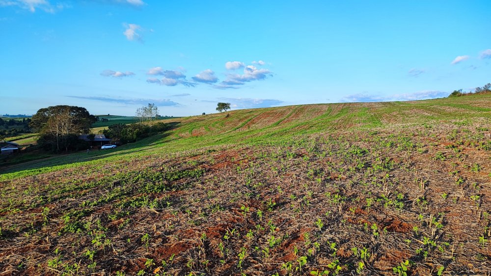 Fazenda à venda, 13m² - Foto 5