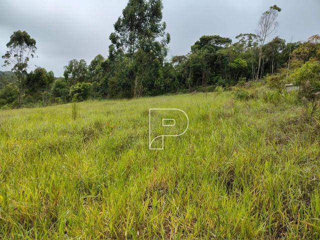 Terreno, 27 hectares - Foto 2