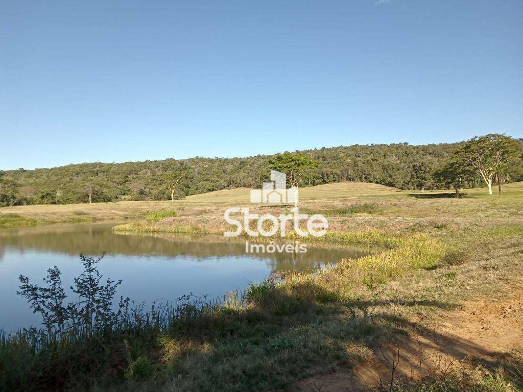 Fazenda à venda, 3242800M2 - Foto 25