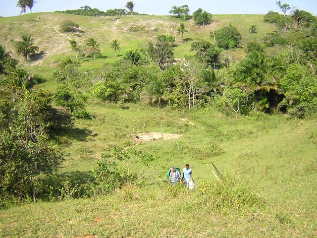 Terreno, 29 hectares - Foto 1