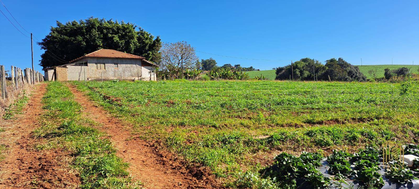 Chácara à venda com 3 quartos, 100m² - Foto 5