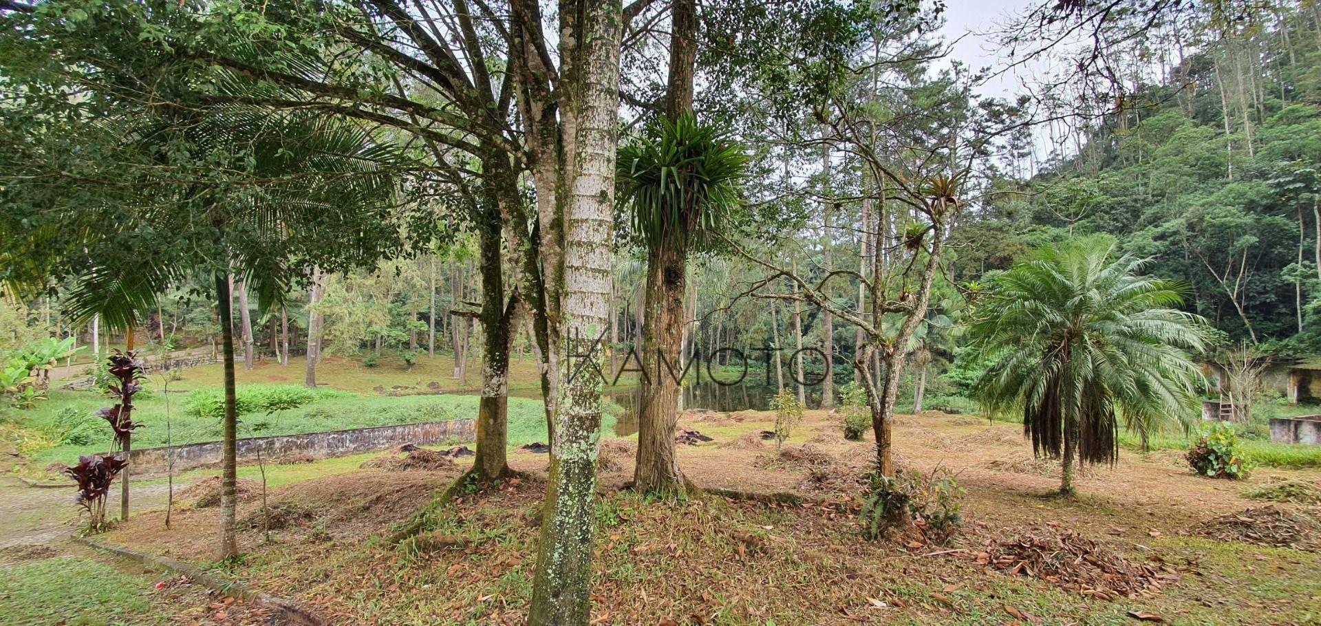 Chácara à venda com 12 quartos, 195724M2 - Foto 47