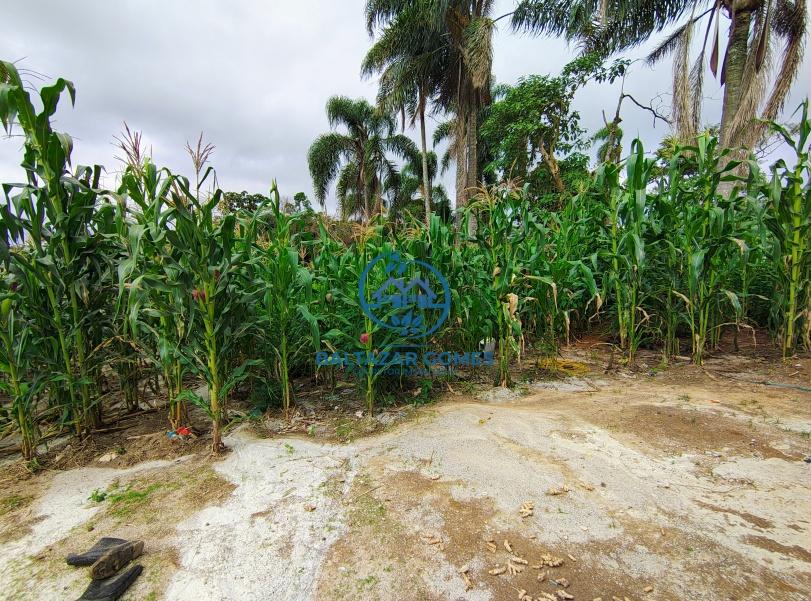 Fazenda à venda com 3 quartos, 7000m² - Foto 7