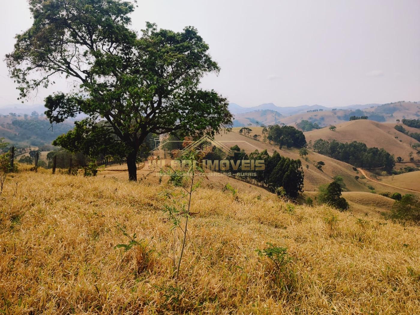 Terreno à venda, 20000m² - Foto 7