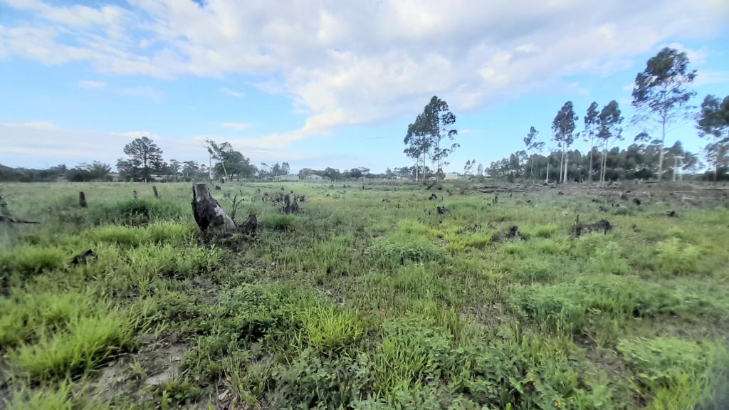 Fazenda à venda, 3092m² - Foto 11